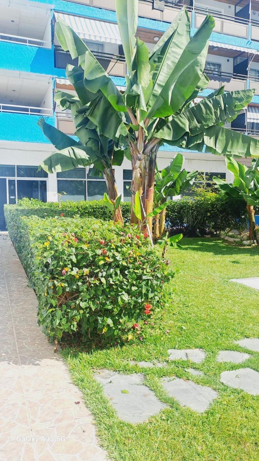 Estudio Playa Jardin Puerto de la Cruz  Exterior photo
